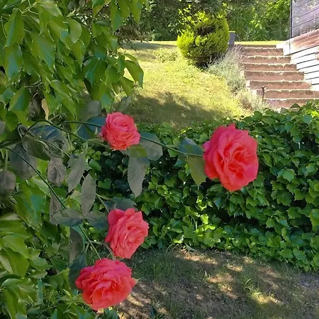 Frühstückspension Ca'luna