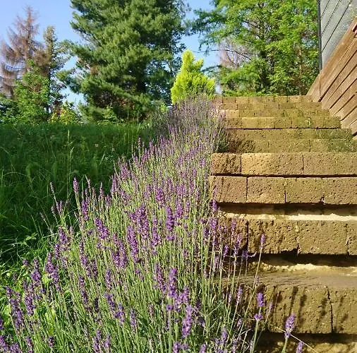 Nocleg ze śniadaniem Ca'luna 4*