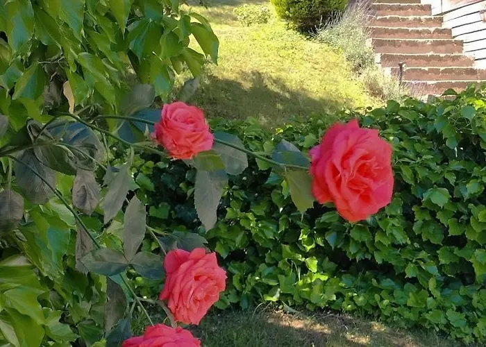 Nocleg ze śniadaniem Ca'luna